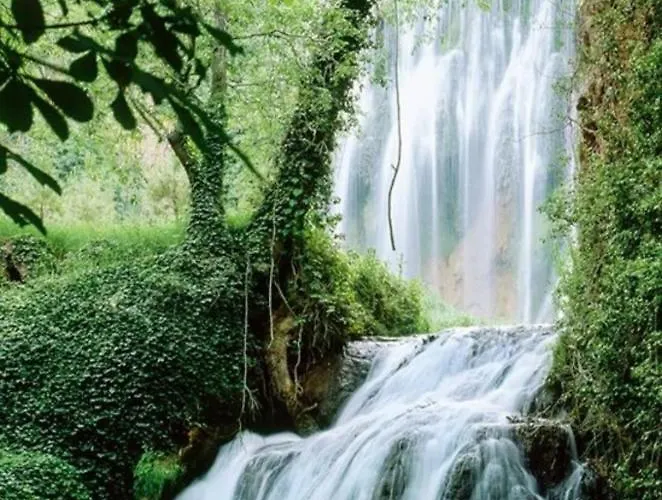 Rurales La De Donato * Nuévalos